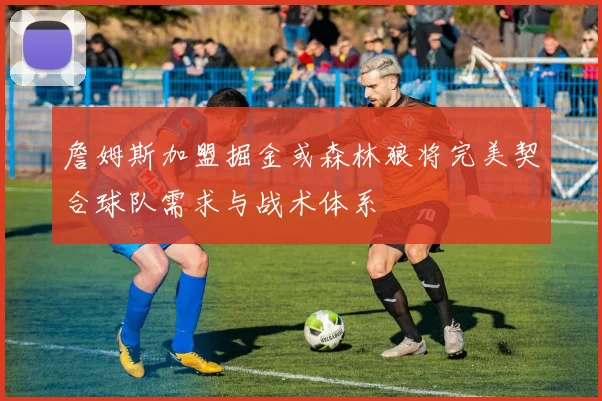 詹姆斯加盟掘金或森林狼将完美契合球队需求与战术体系